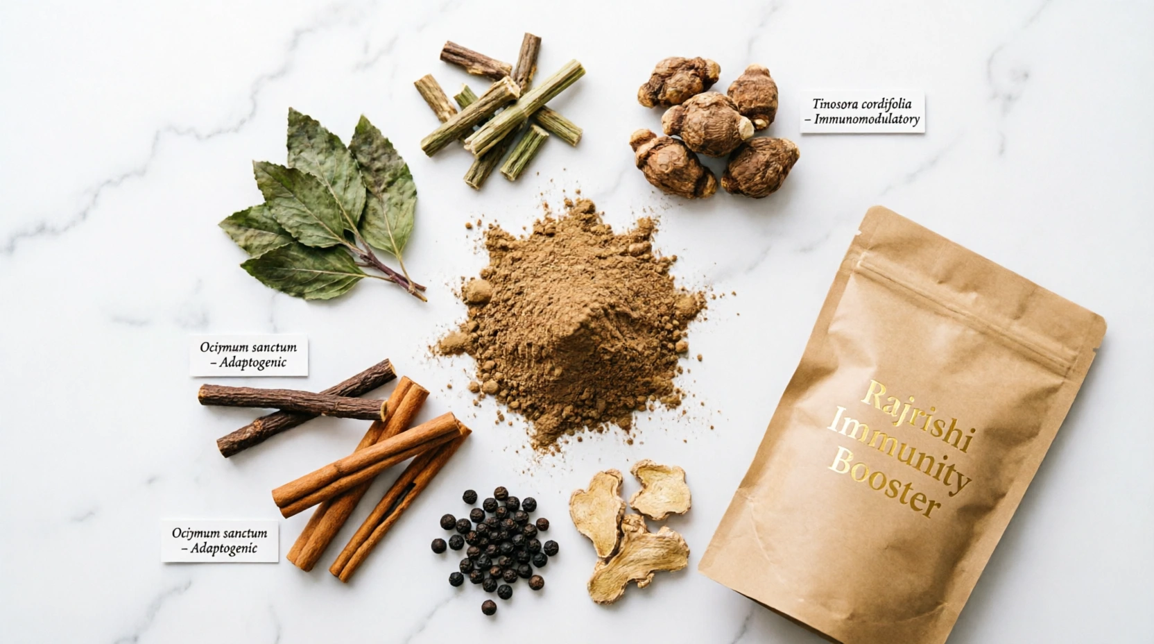 Rajrishi Immunity Booster Ayurvedic Kadha Mix with Tulsi Giloy Ashwagandha for Strong Immunity and Natural Defense